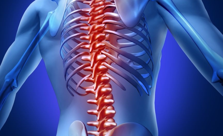 Ανατονία σπονδυλικής στήλης